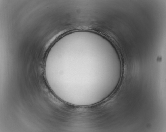 X0000113961212200909251018