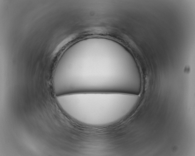 X0000113961213200909251018