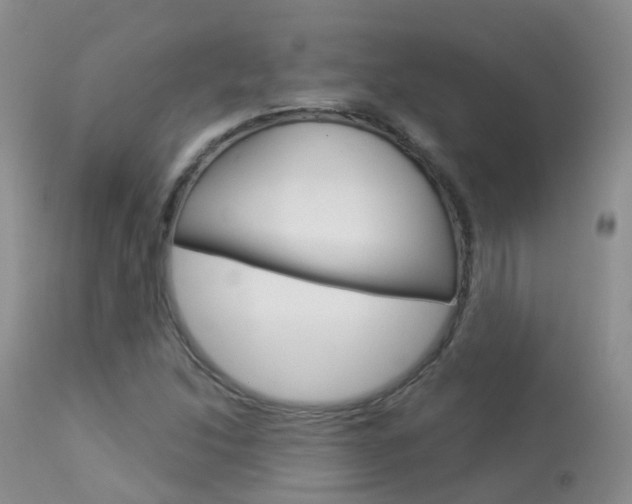 X0000113961214200909251018