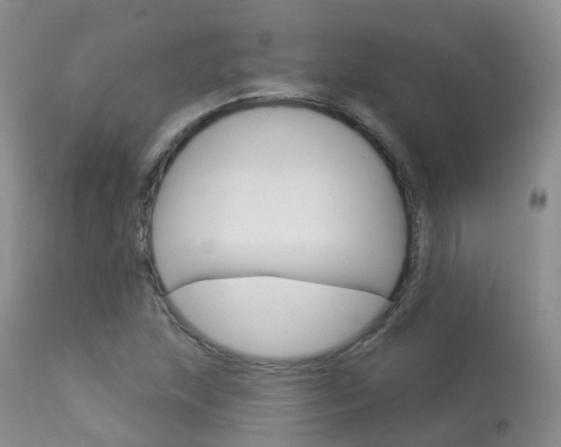 X0000113961215200909251018