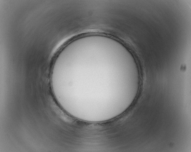 X0000113961216200909251018