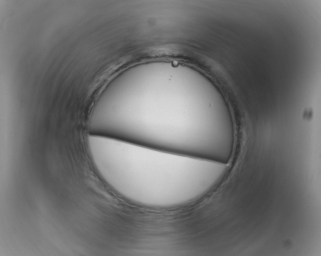 X0000113961217200909251018