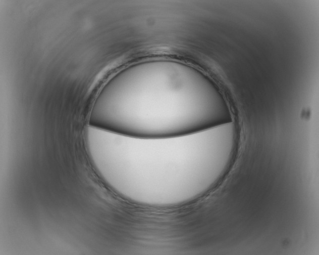 X0000113961218200909251018