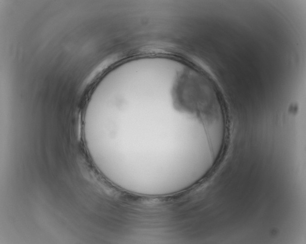 X0000113961219200909251018