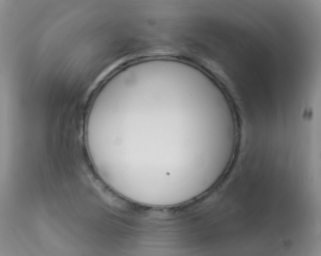 X0000113961220200909251018