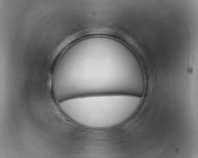 X0000113961221200909251018