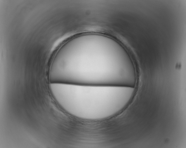 X0000113961222200909251018