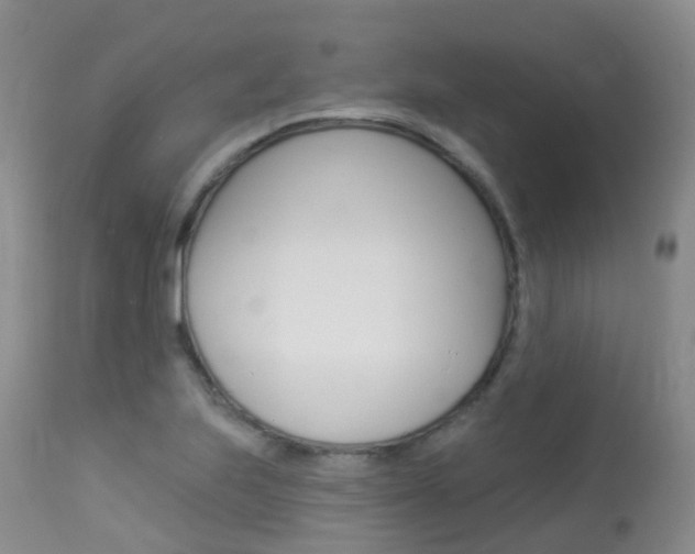 X0000113961223200909251019