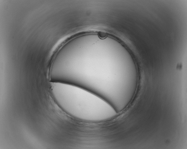 X0000113961224200909251019