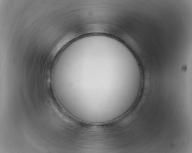 X0000113961226200909251019