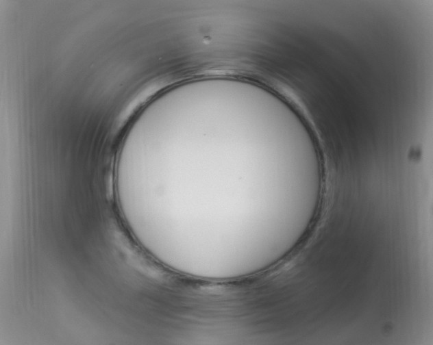 X0000113961227200909251019