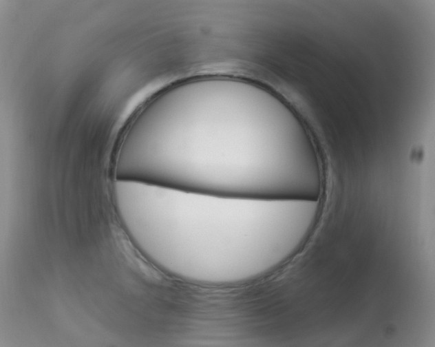 X0000113961230200909251019