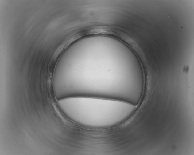 X0000113961233200909251019
