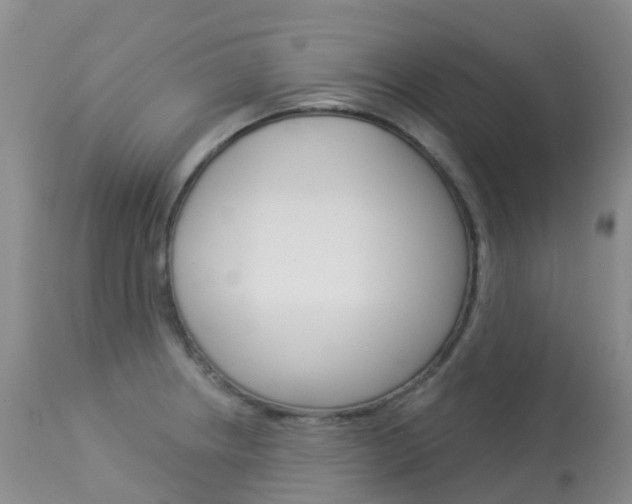 X0000113961234200909251019