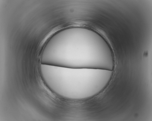 X0000113961235200909251019