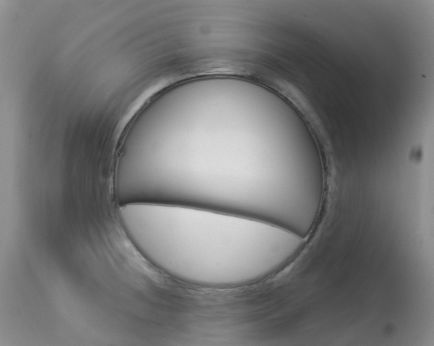 X0000113961236200909251019