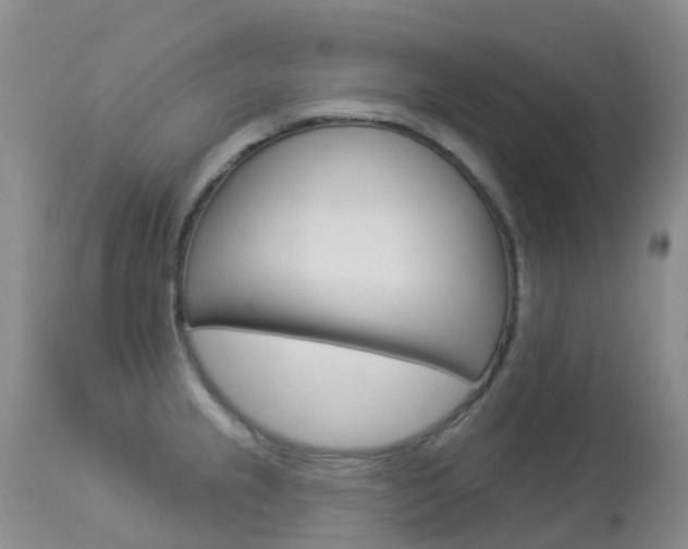 X0000113961237200909251019