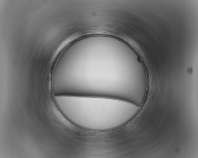 X0000113961238200909251019