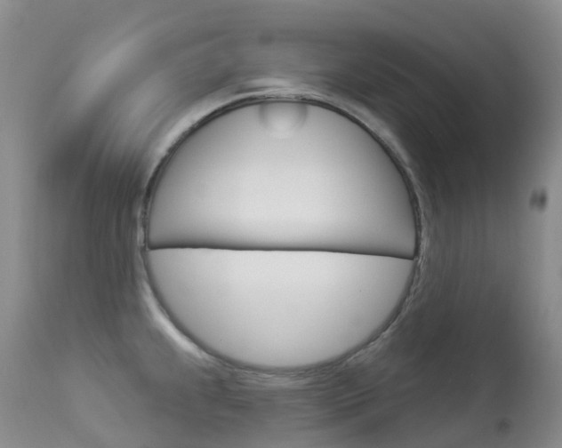 X0000113961239200909251019