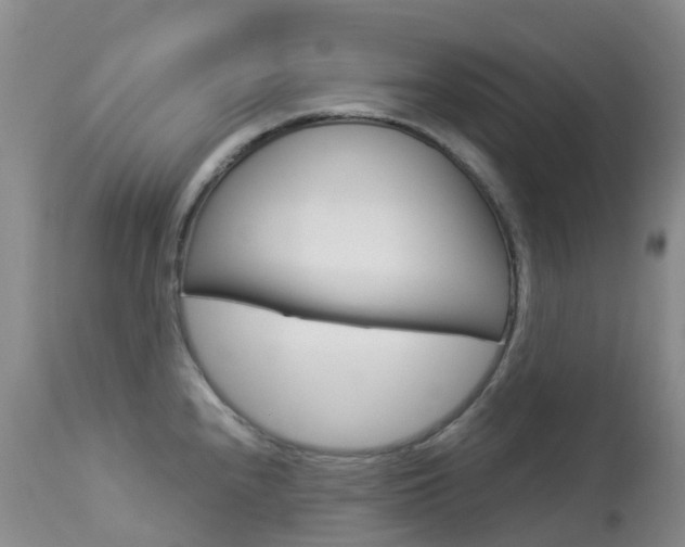 X0000113961240200909251019