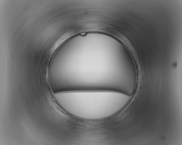 X0000113961242200909251019