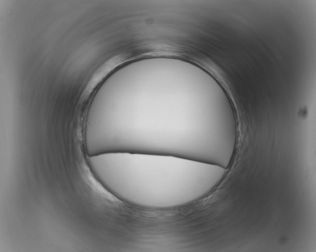 X0000113961243200909251019