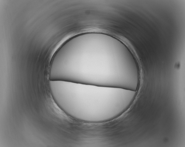 X0000113961244200909251019