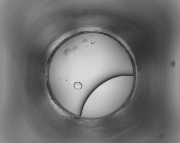 X0000113961245200909251019
