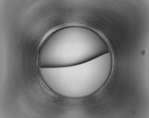 X0000113961246200909251019