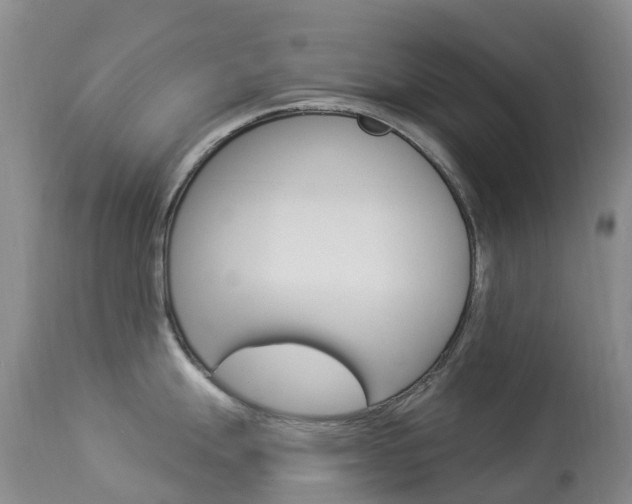 X0000113961247200909251019