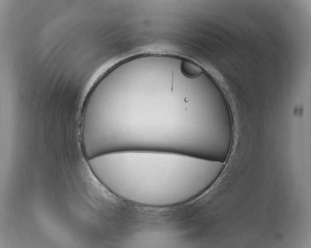 X0000113961248200909251019