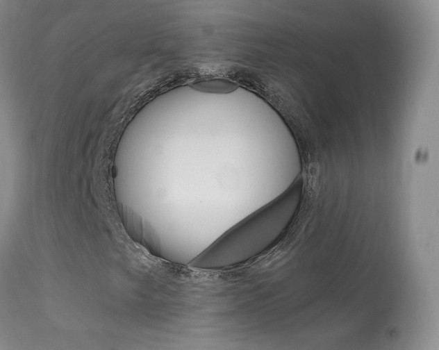 X0000113961249200909251018