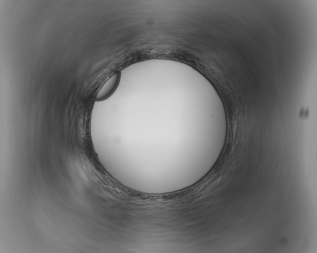 X0000113961250200909251018