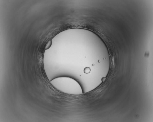X0000113961251200909251018