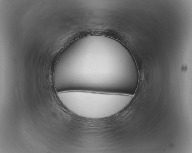 X0000113961252200909251018