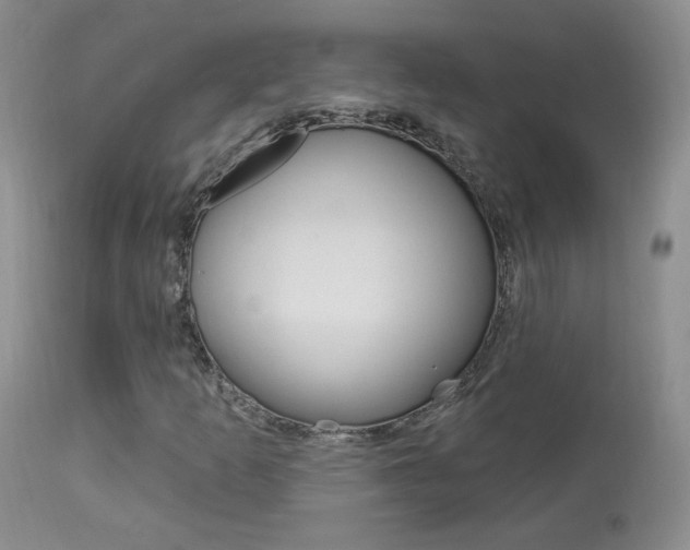 X0000113961253200909251018