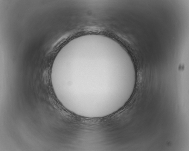 X0000113961254200909251018