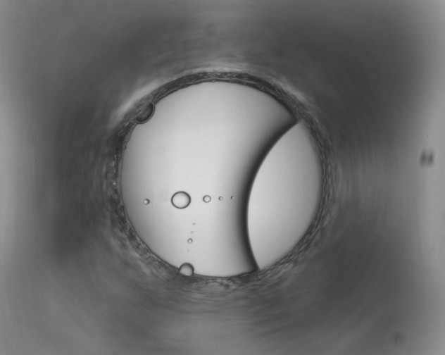 X0000113961255200909251018