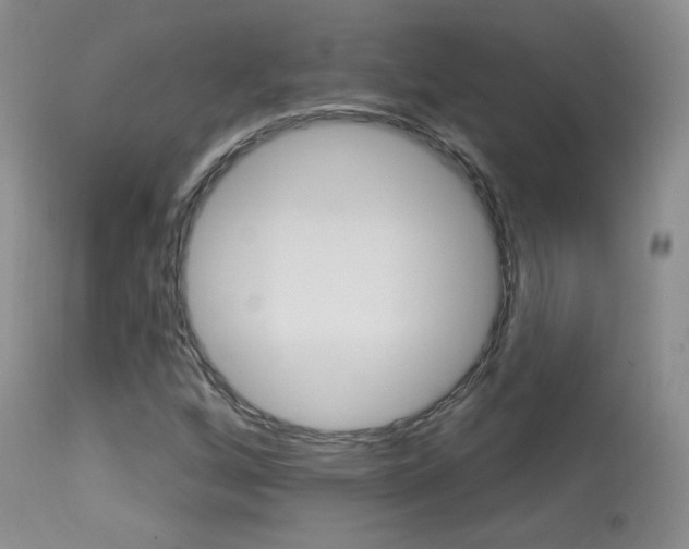 X0000113961256200909251018