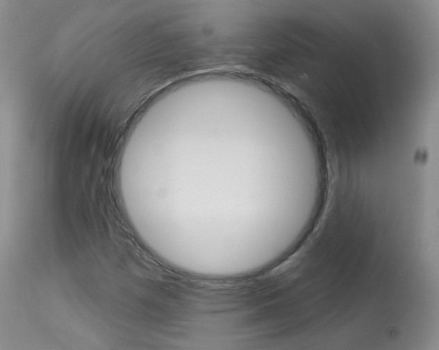 X0000113961257200909251018