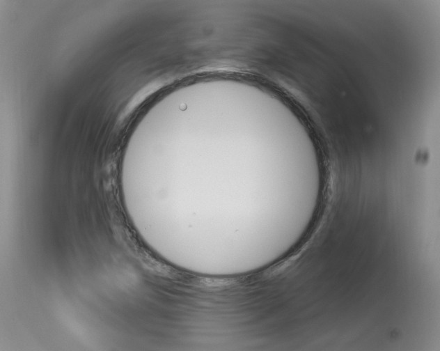 X0000113961258200909251018