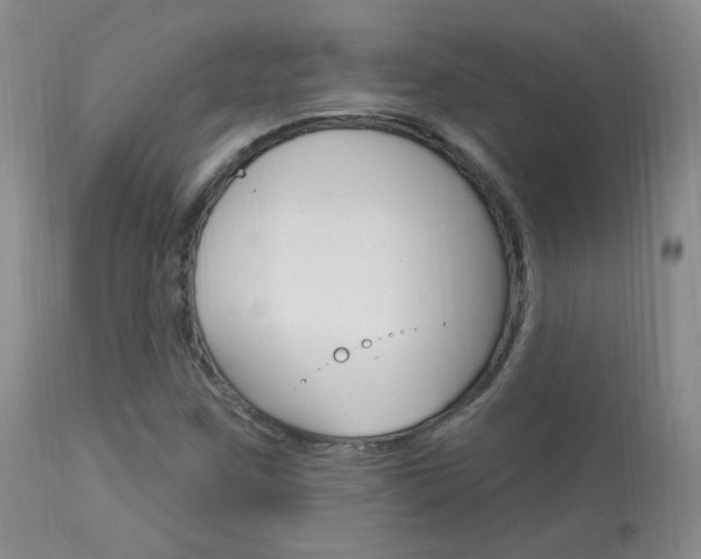 X0000113961259200909251018