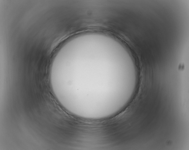 X0000113961261200909251018
