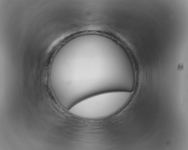 X0000113961262200909251018