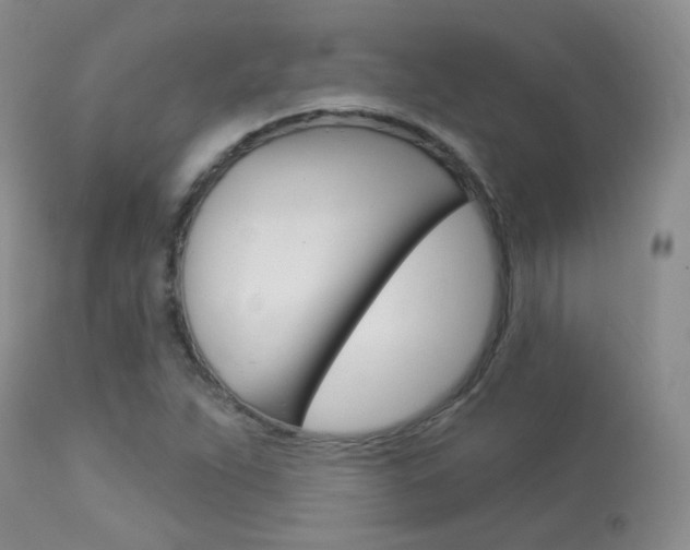 X0000113961263200909251018