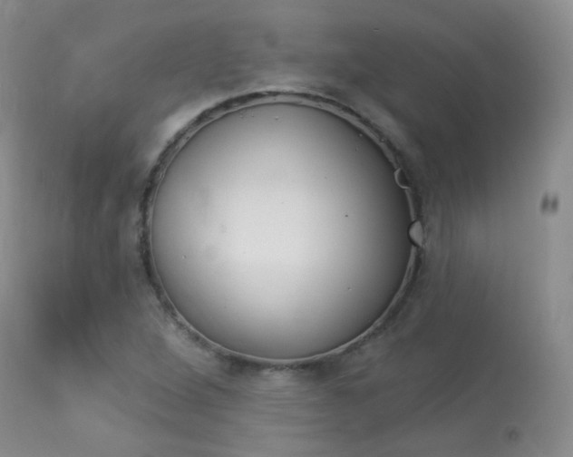 X0000113961264200909251018