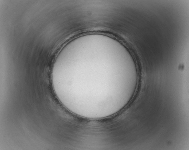 X0000113961265200909251018