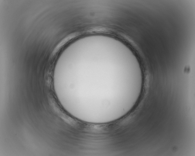 X0000113961266200909251018