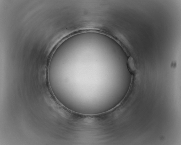 X0000113961268200909251018
