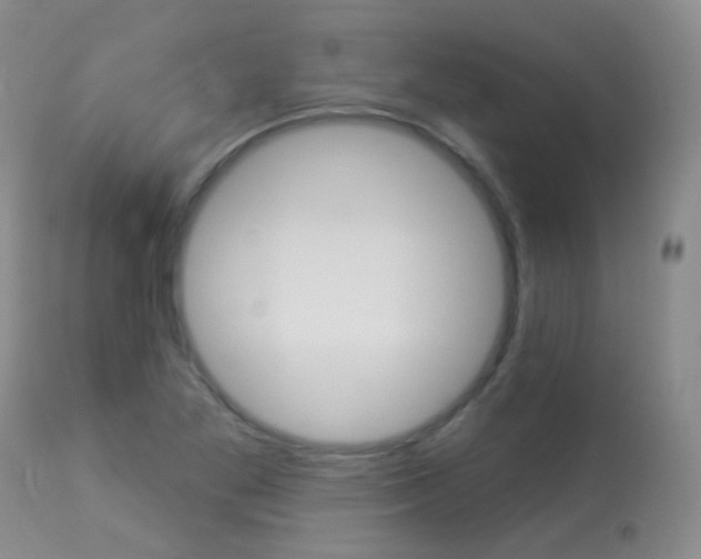 X0000113961269200909251018